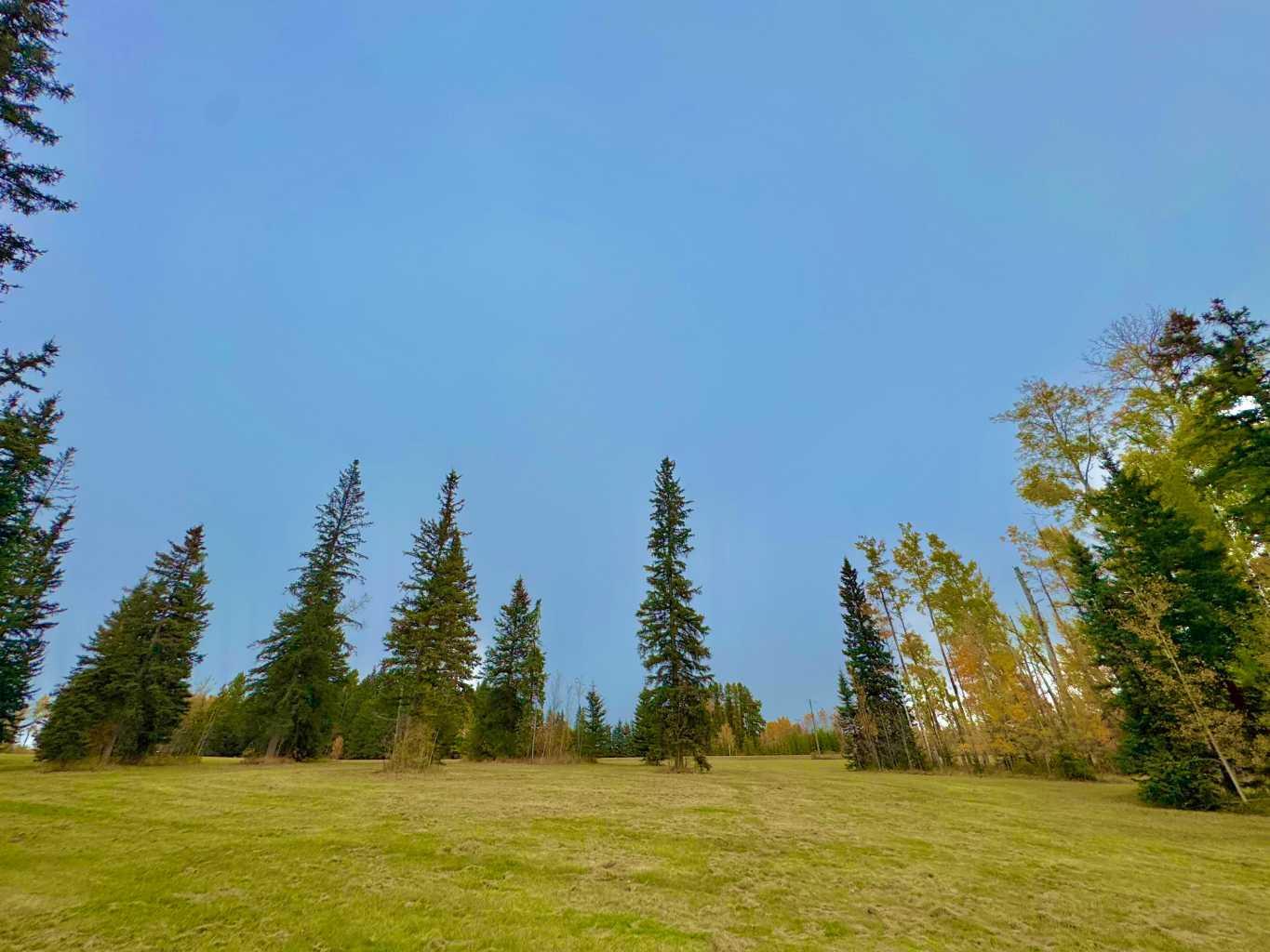 316 Valley View Drive