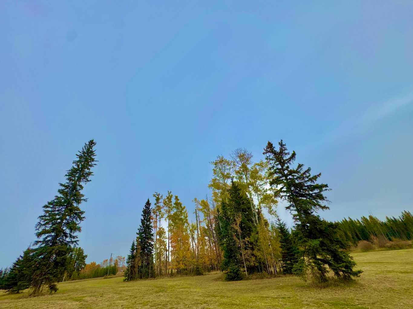 316 Valley View Drive