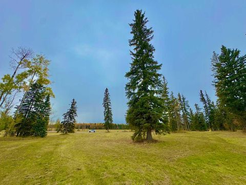 Photo of 316 Valley View Drive, Rural Clearwater County, AB T4T 1A7 (MLS # A2264707)
