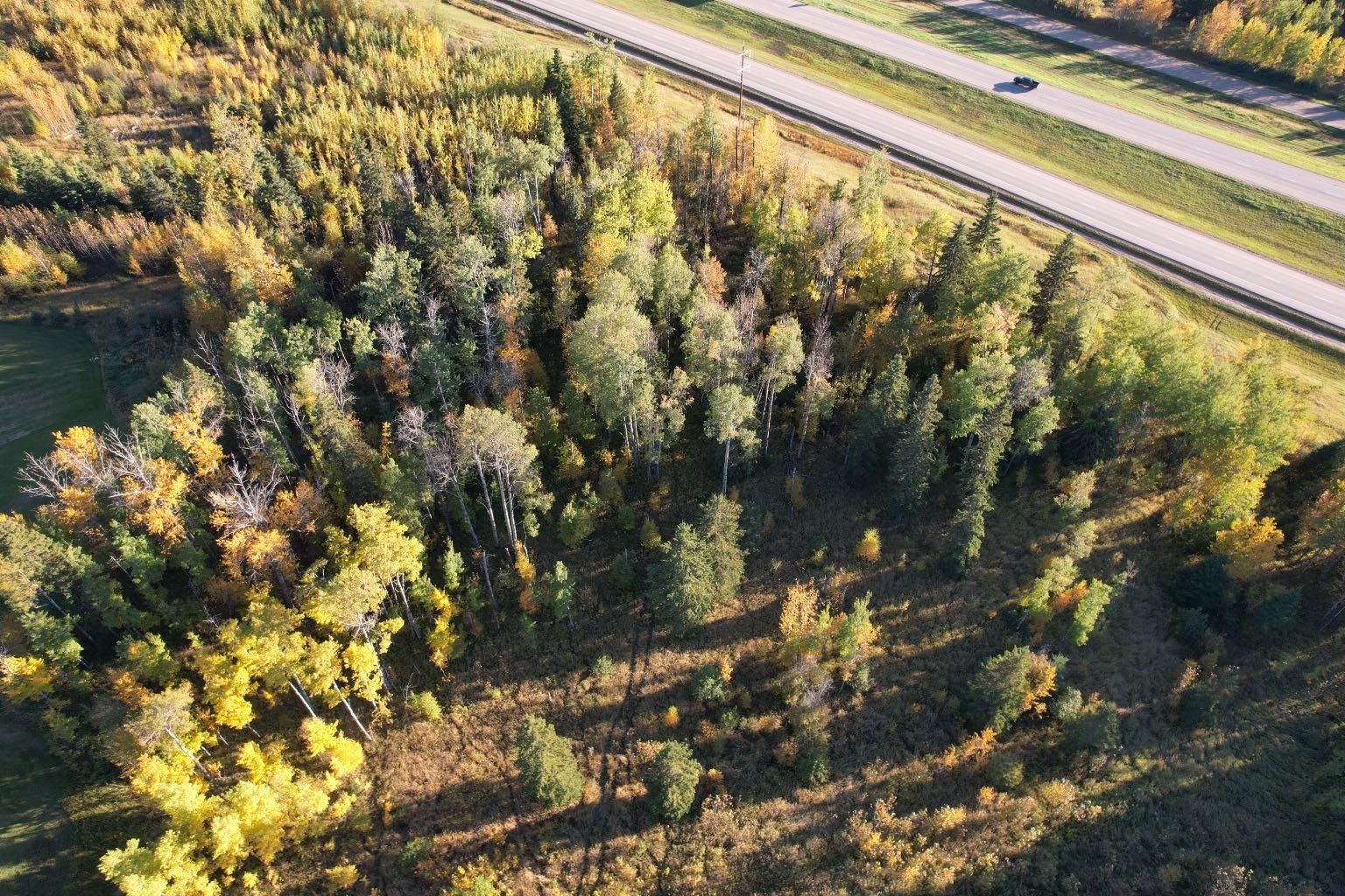 Range Road 114A Timber Ridge Estates