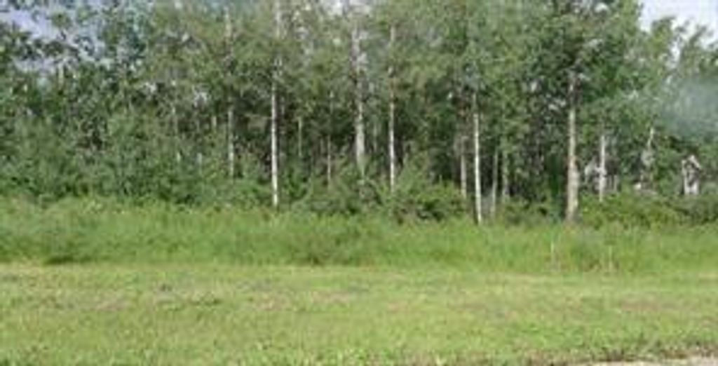 Photo of 122 Wolf Run Drive, Rural Ponoka County, AB T4J 1R3 (MLS # A2032926)