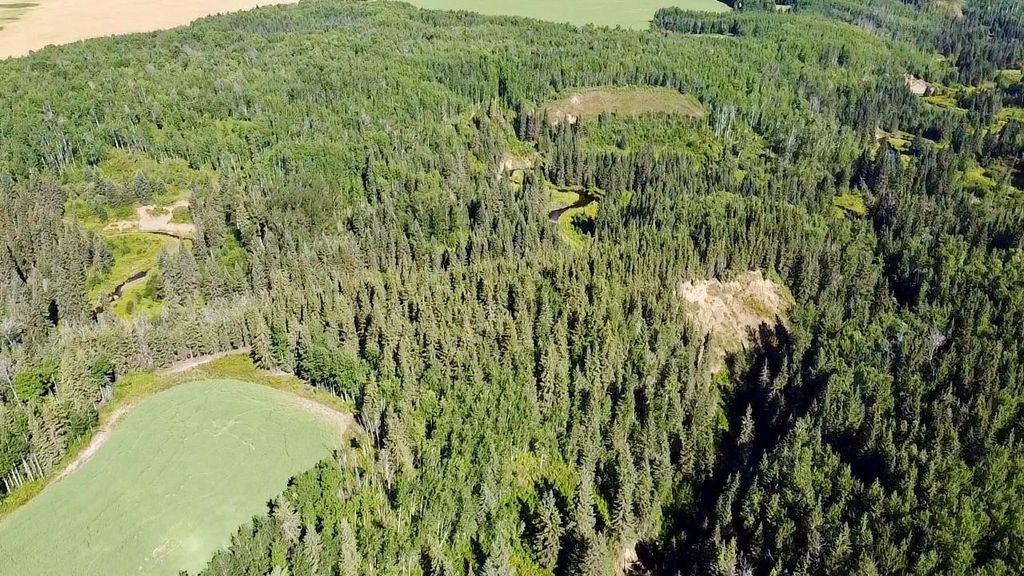 Photo of Range Road 225 Canyon Road, Rural Athabasca County, AB T9S 2A4 (MLS # A2292383)