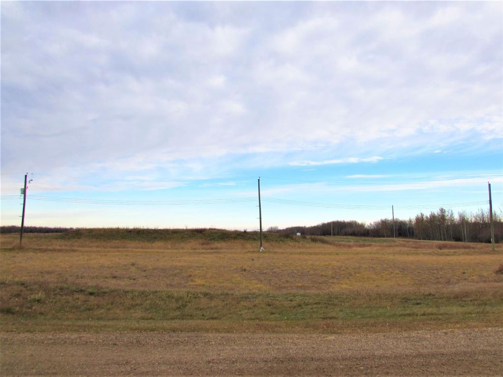 Photo of 108 Alberta Street, Kingman, AB T0B 2M0 (MLS # A1156341)