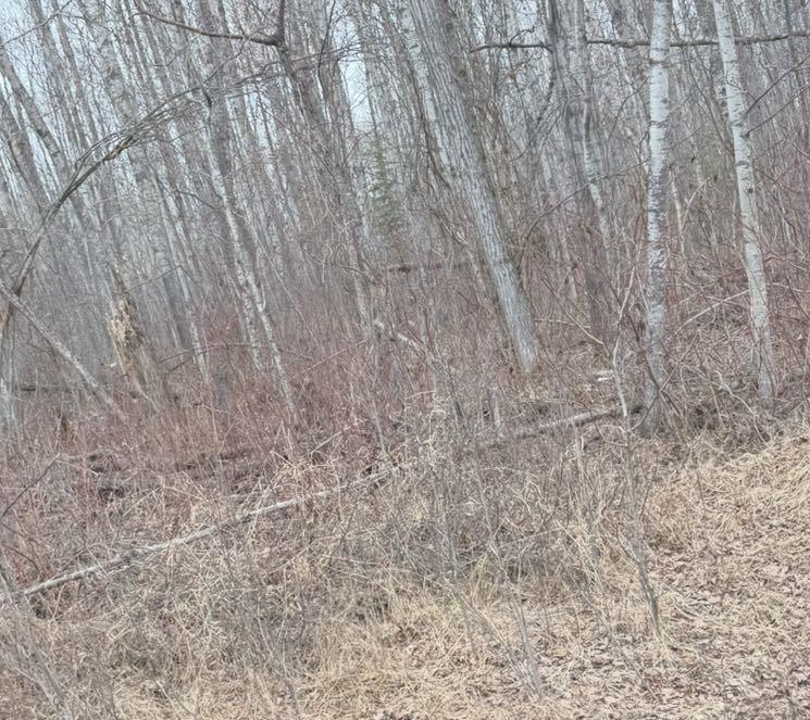 lot 6 Baptiste drive