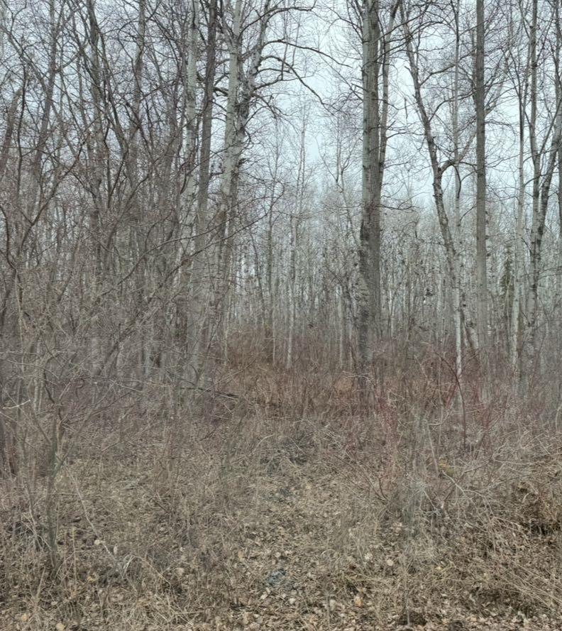 lot 6 Baptiste drive