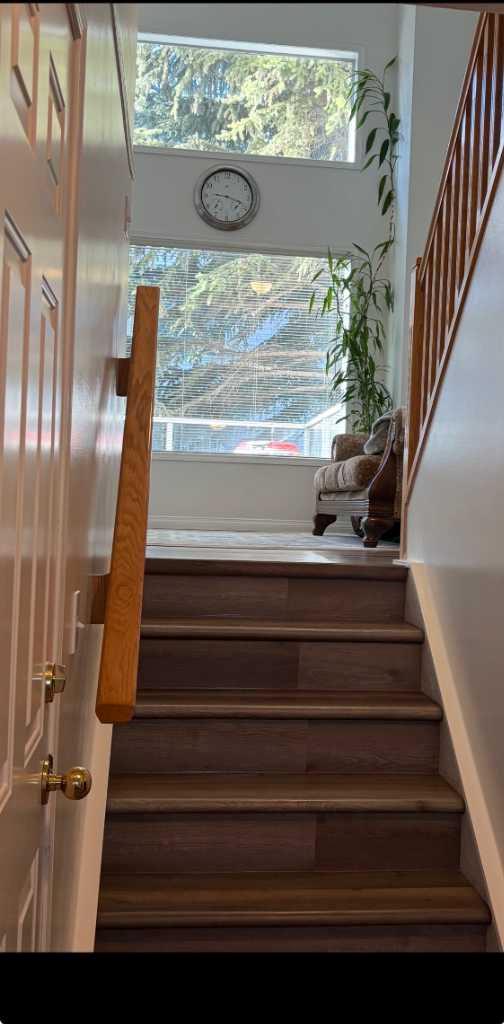 35 Kingsland Villas SW