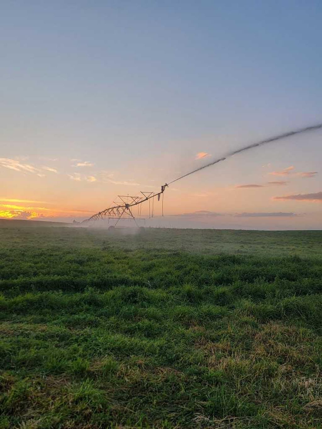 Photo of Hyw 24, Rural Vulcan County, AB T0J 0M0 (MLS # A2286473)