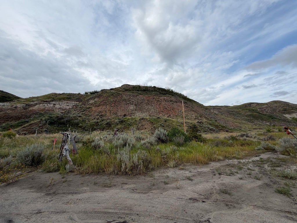 Photo of 0 Century Drive, Drumheller, AB T0J 0Y9 (MLS # A2338775)