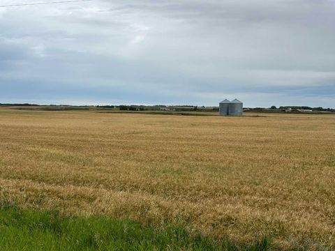 SW 14 31 27 W4 Rural Mountain View County AB T0M 1X0