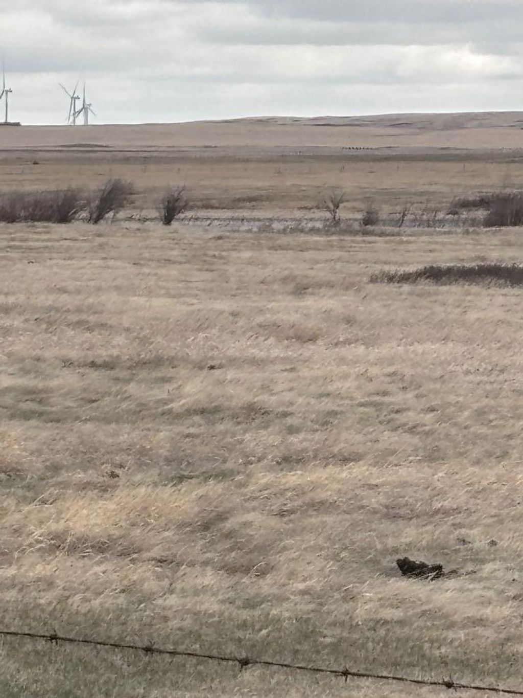 Photo of on Hwy 886, Consort, AB T0C 1B0 (MLS # A2308117)