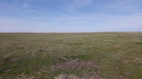 Photo of Vulcan county, Rural Vulcan County, AB T0L 2B0 (MLS # A2325179)
