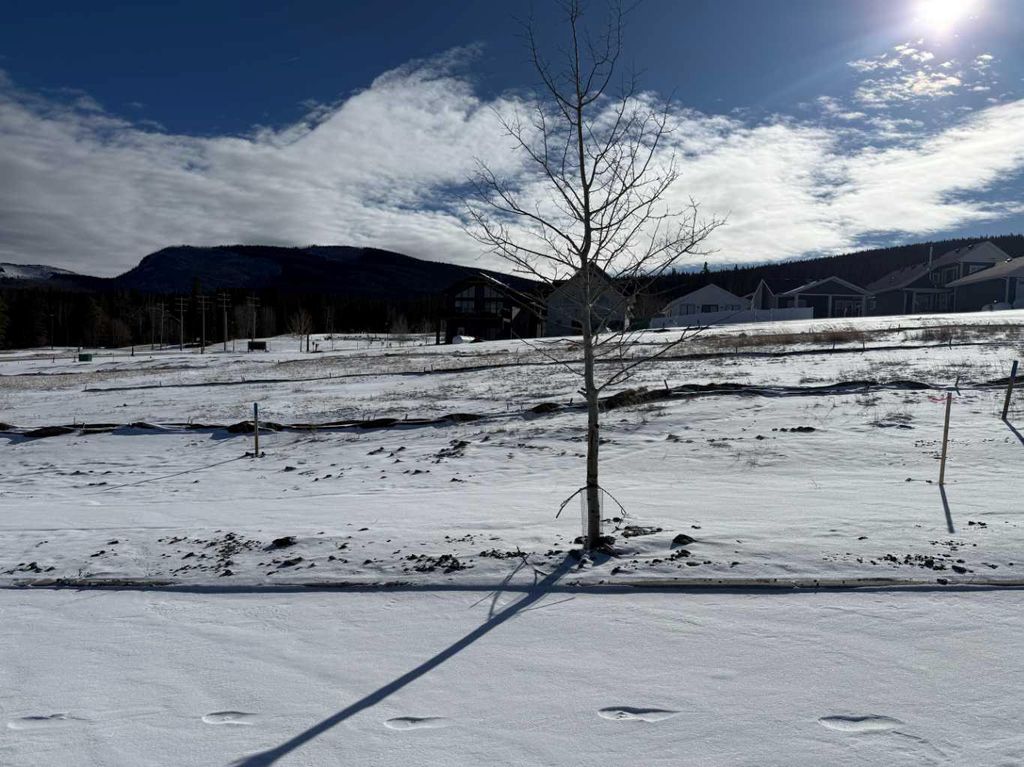 Photo of 425 LILY Avenue, Nordegg, AB T0M 2H0 (MLS # A2289645)