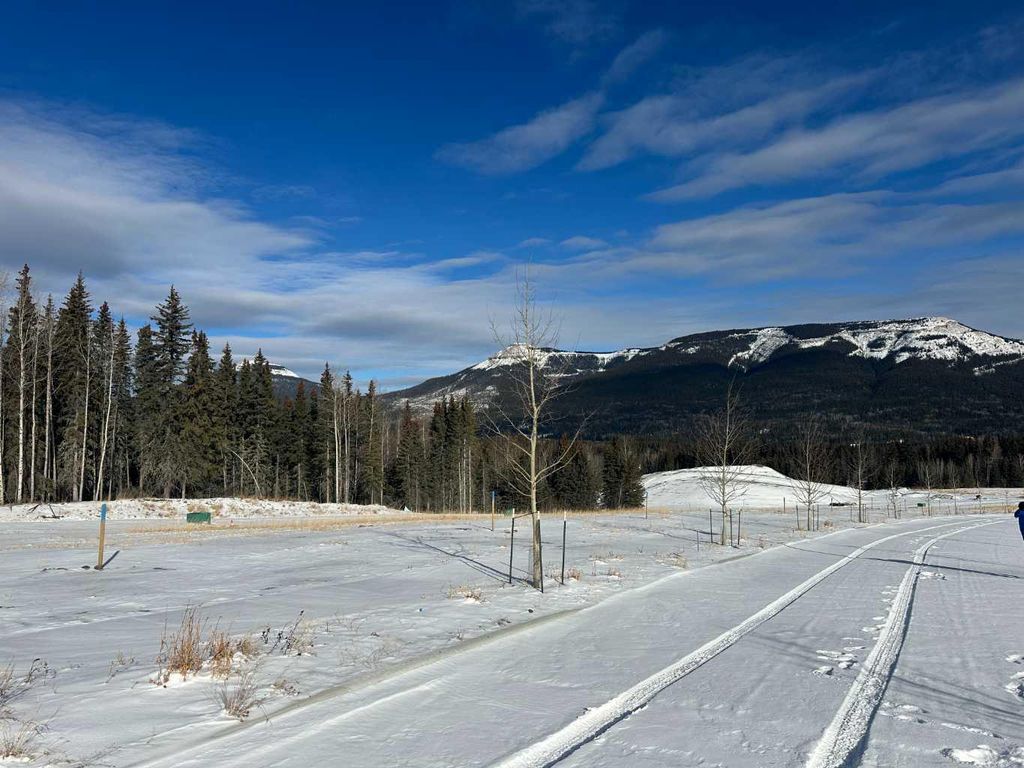 Photo of 425 LILY Avenue, Nordegg, AB T0M 2H0 (MLS # A2289645)