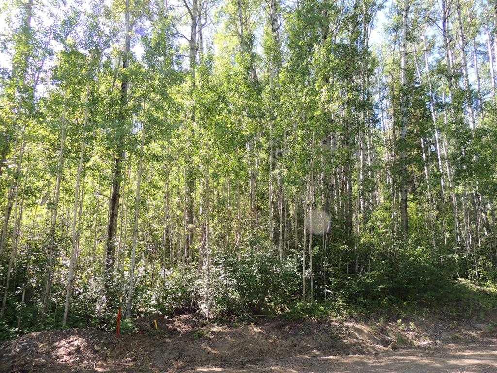 Lot #11 Wapiti River SW-21-69-10-W6