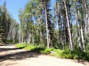 Lot #11 Wapiti River SW-21-69-10-W6