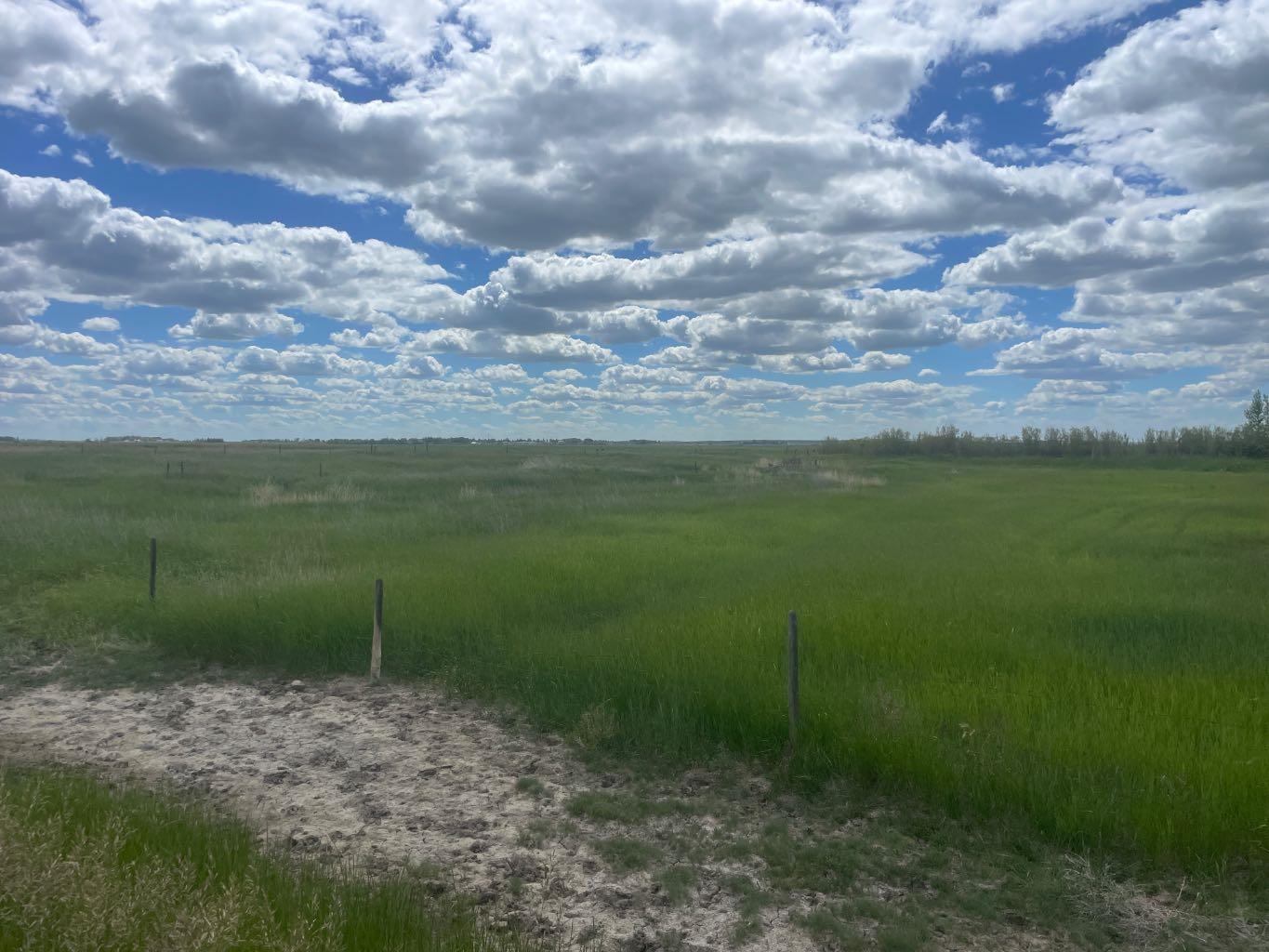 HWY 550 & RR155 RR155