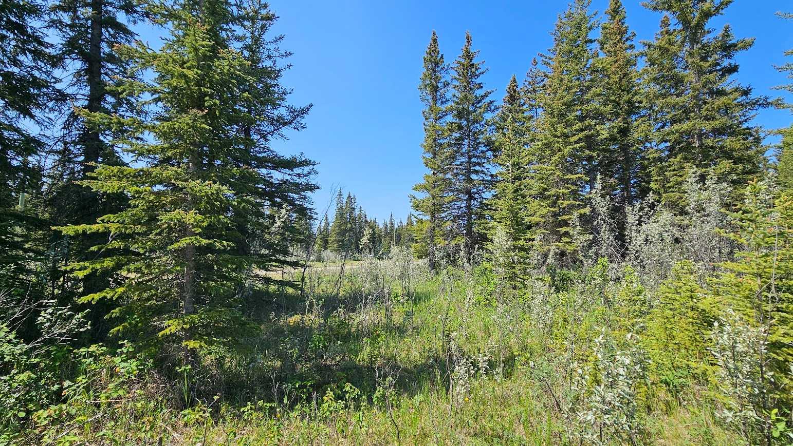 34364 Range Road 42 11