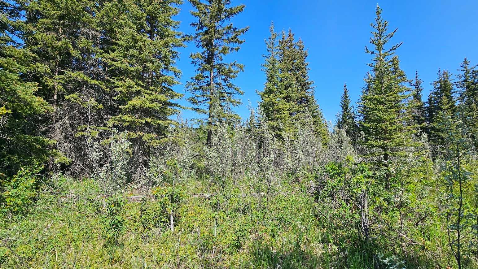 34364 Range Road 42 11