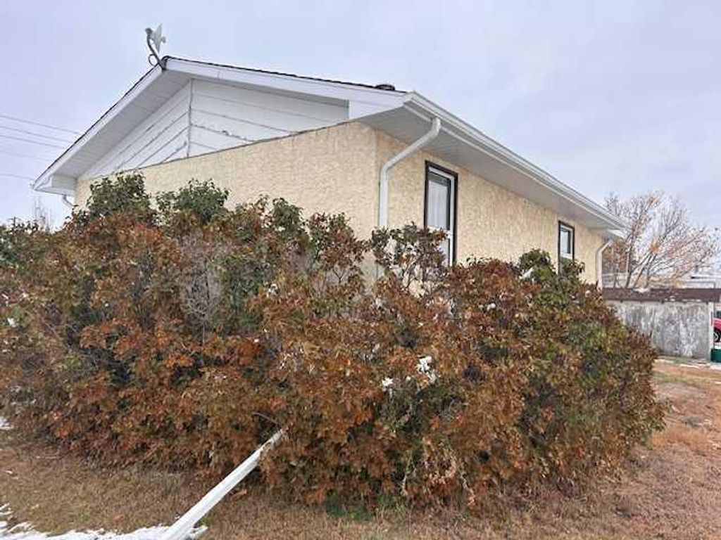 Photo of 118 2 Avenue W, Cereal, AB T0J 0N0 (MLS # A2265502)