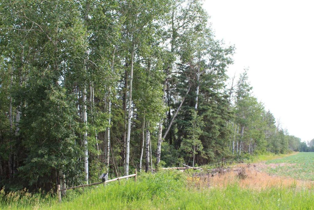 Photo of 155 Range SE, Rural Mackenzie County, AB T0H 1N0 (MLS # A2325082)