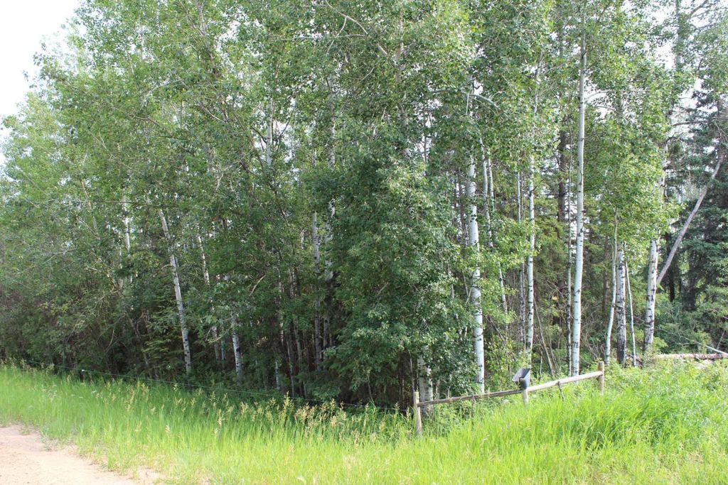 Photo of 155 Range SE, Rural Mackenzie County, AB T0H 1N0 (MLS # A2325082)