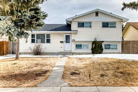 532 Rundleridge Drive NE Calgary AB T1Y 2K7