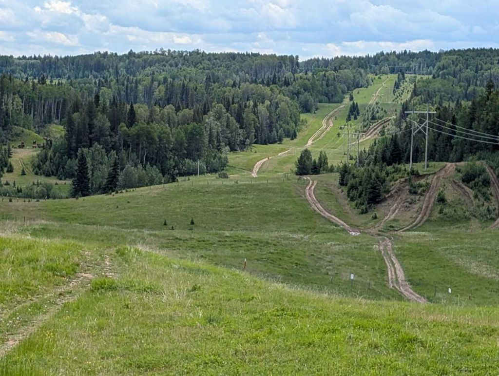 Photo of 8 RANGE ROAD Dr, Rocky Mountain House, AB T0M 0M0 (MLS # A2266112)