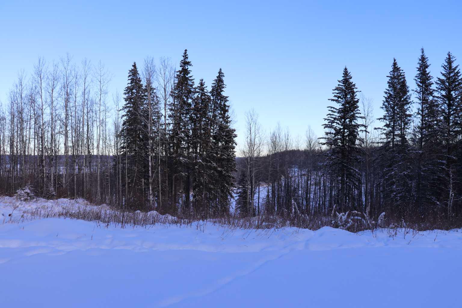 14132 East Bank Road