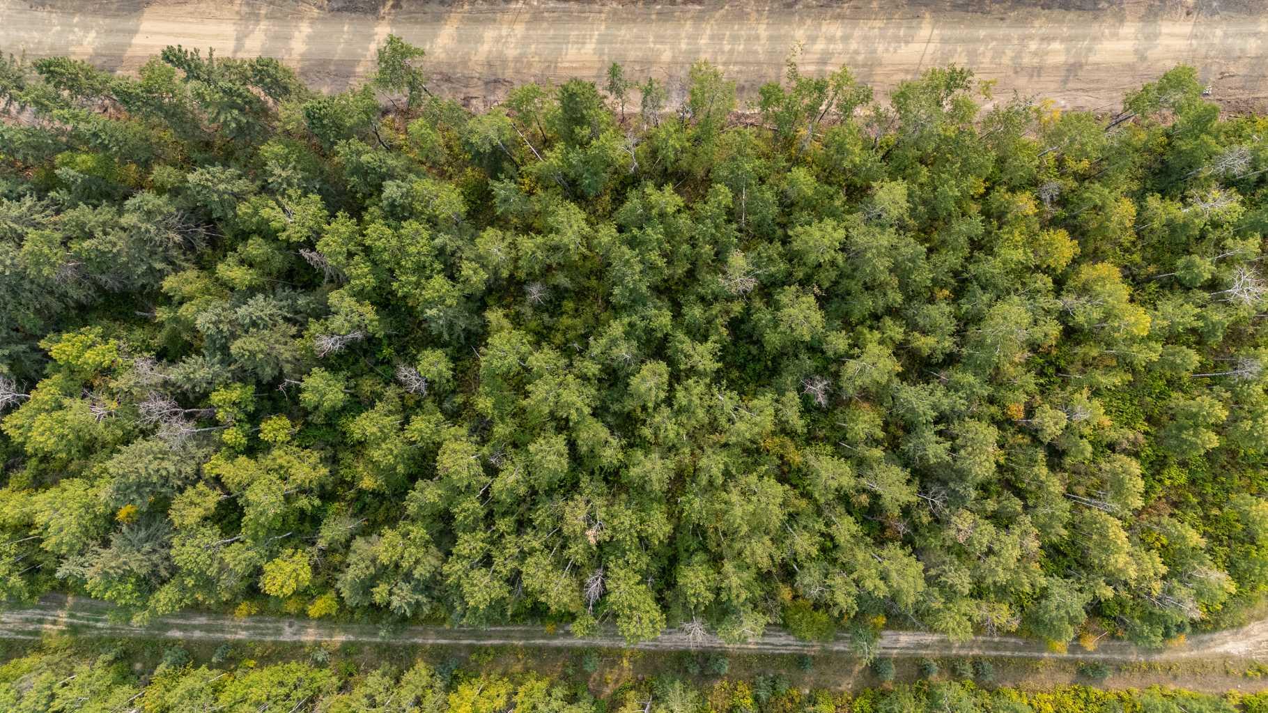 7 Crane Lane Murphy Lake