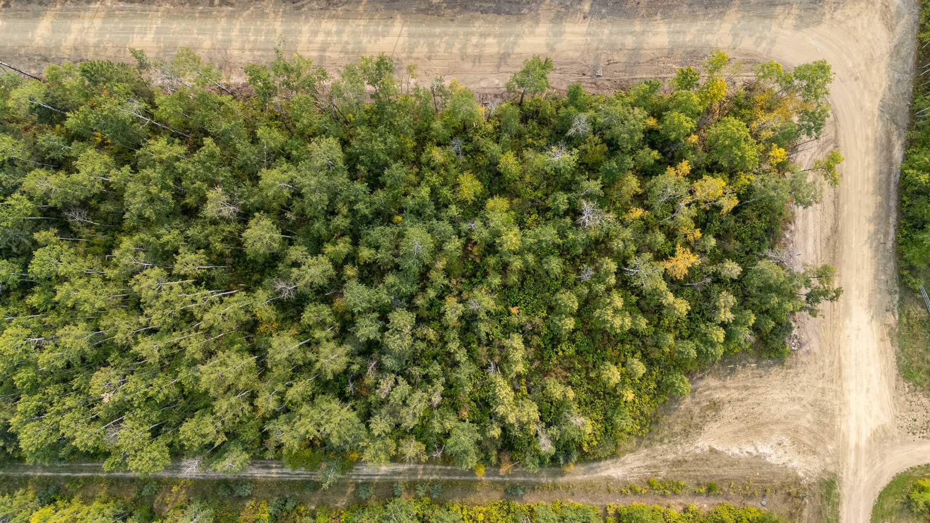 7 Crane Lane Murphy Lake