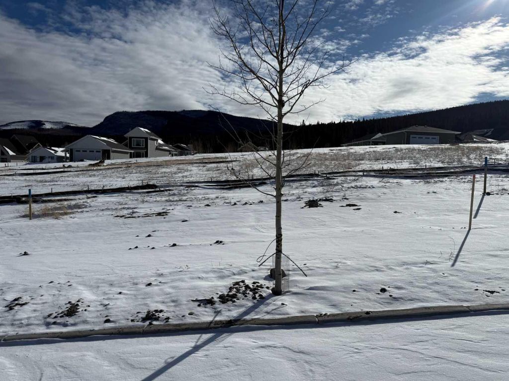 Photo of 449 LILY Avenue, Nordegg, AB T0M 2H0 (MLS # A2289688)