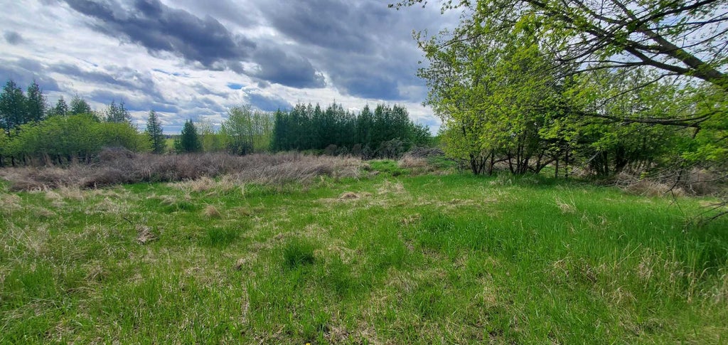 Photo of 100 Street #8342, Lac La Biche, AB T0A 2C0 (MLS # A2136198)
