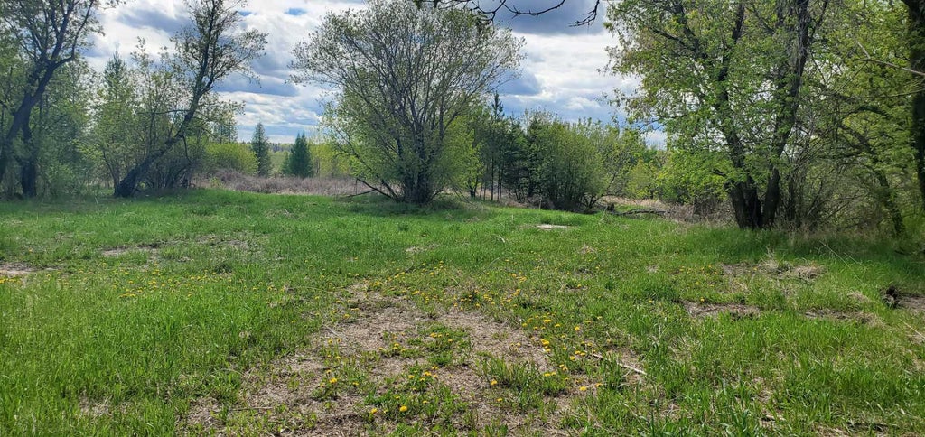 Photo of 100 Street #8342, Lac La Biche, AB T0A 2C0 (MLS # A2136198)