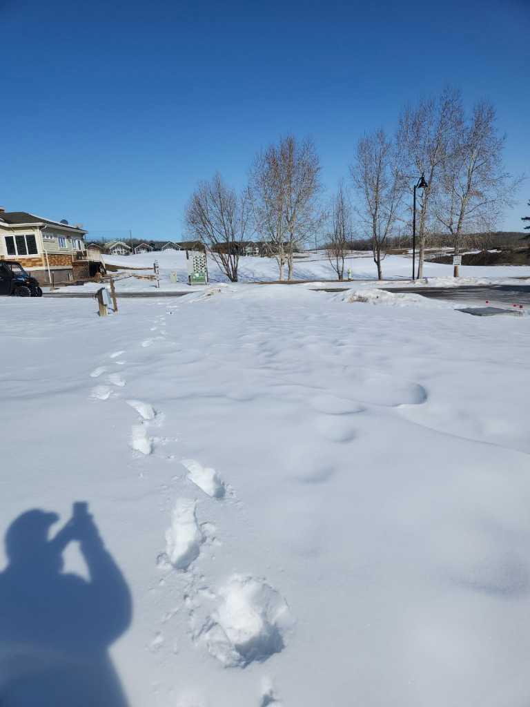 25054 South Pine Lake Road 4072