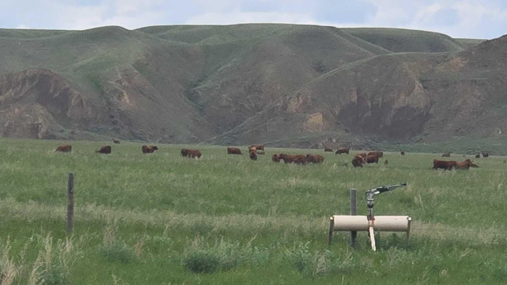 Photo of Hwy 524, Rural Taber, M.D. of, AB T0J 2S0 (MLS # A2324738)