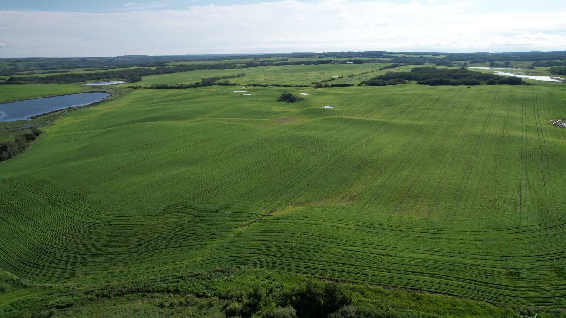 RR 115 TWP RD 554