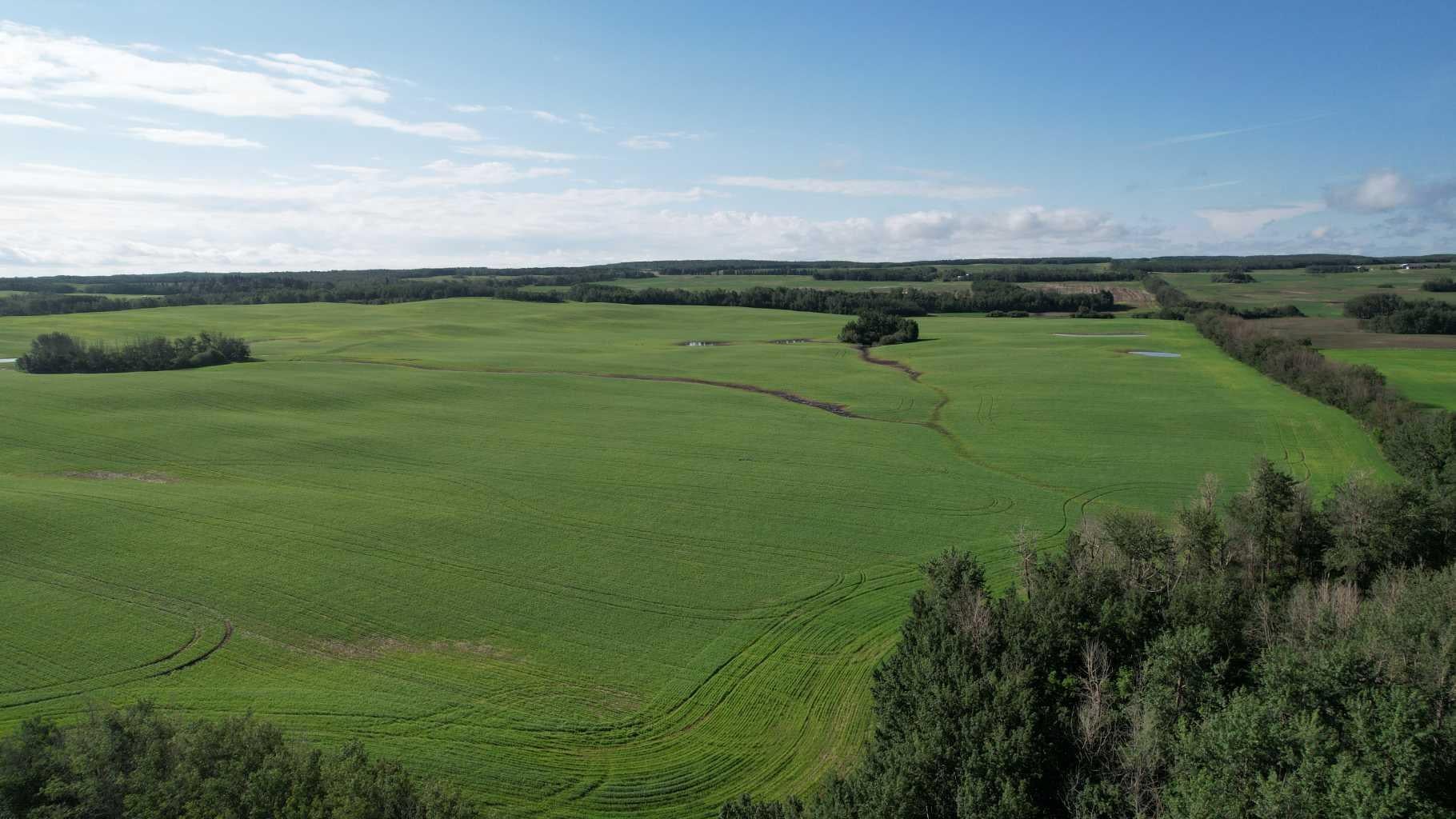 RR 115 TWP RD 554