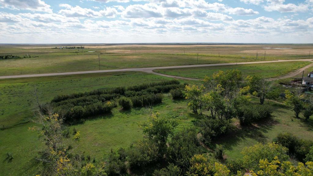 Photo of 213 Main Street, Rural Special Areas No. 2, AB T0J 3P0 (MLS # A2264784)