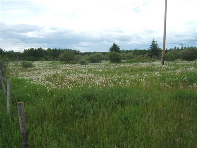 Section 19 TWP 66 Range 13 Meridian 4