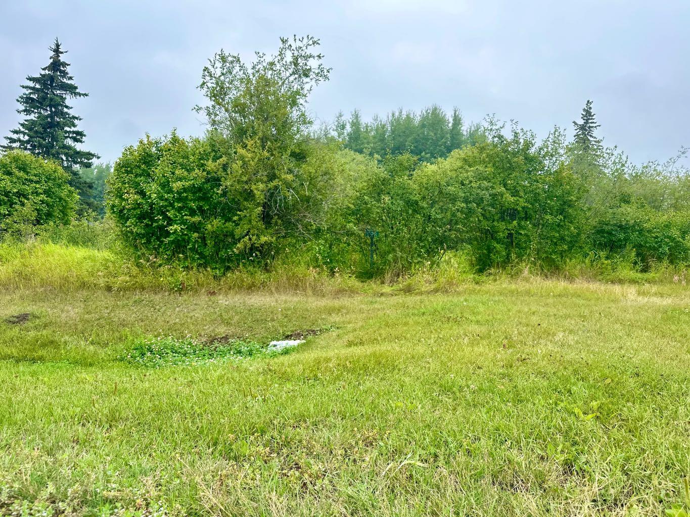 13221 TWP RD 680 Township 538