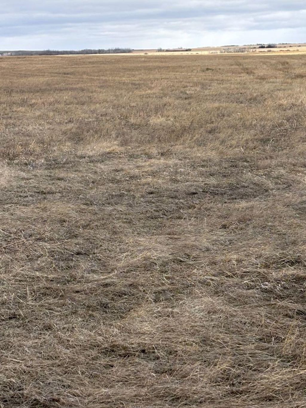Photo of on Hwy 886, Consort, AB T0C 1B0 (MLS # A2307012)