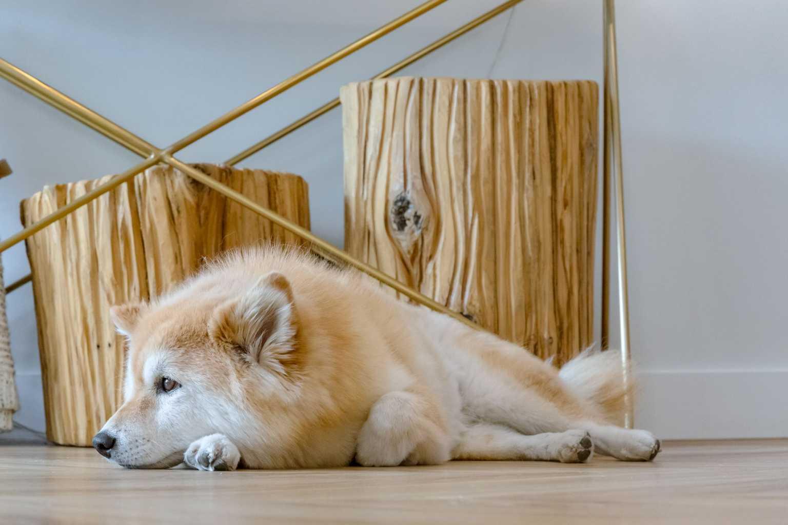 8445 Broadcast Avenue SW 110