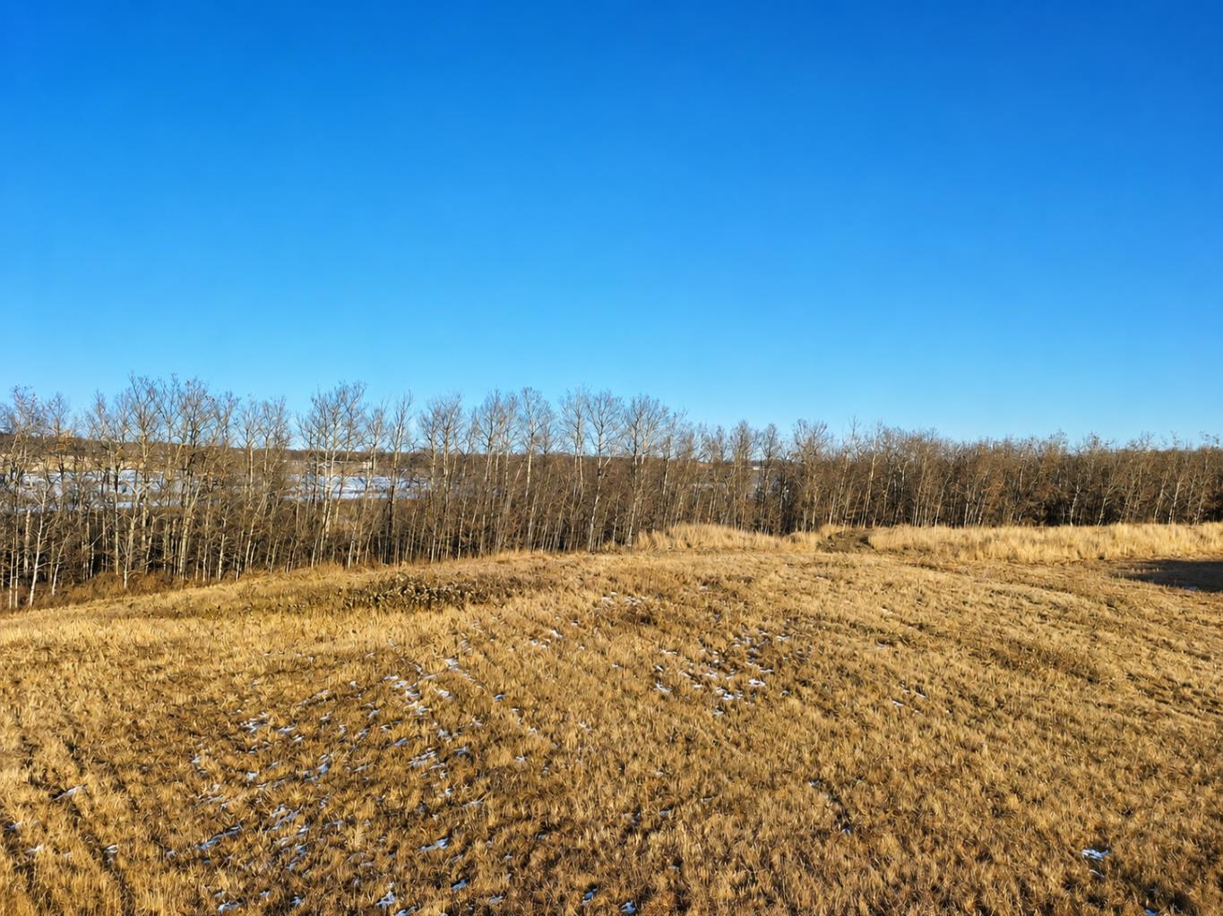 5135 40 Avenue Lot 12