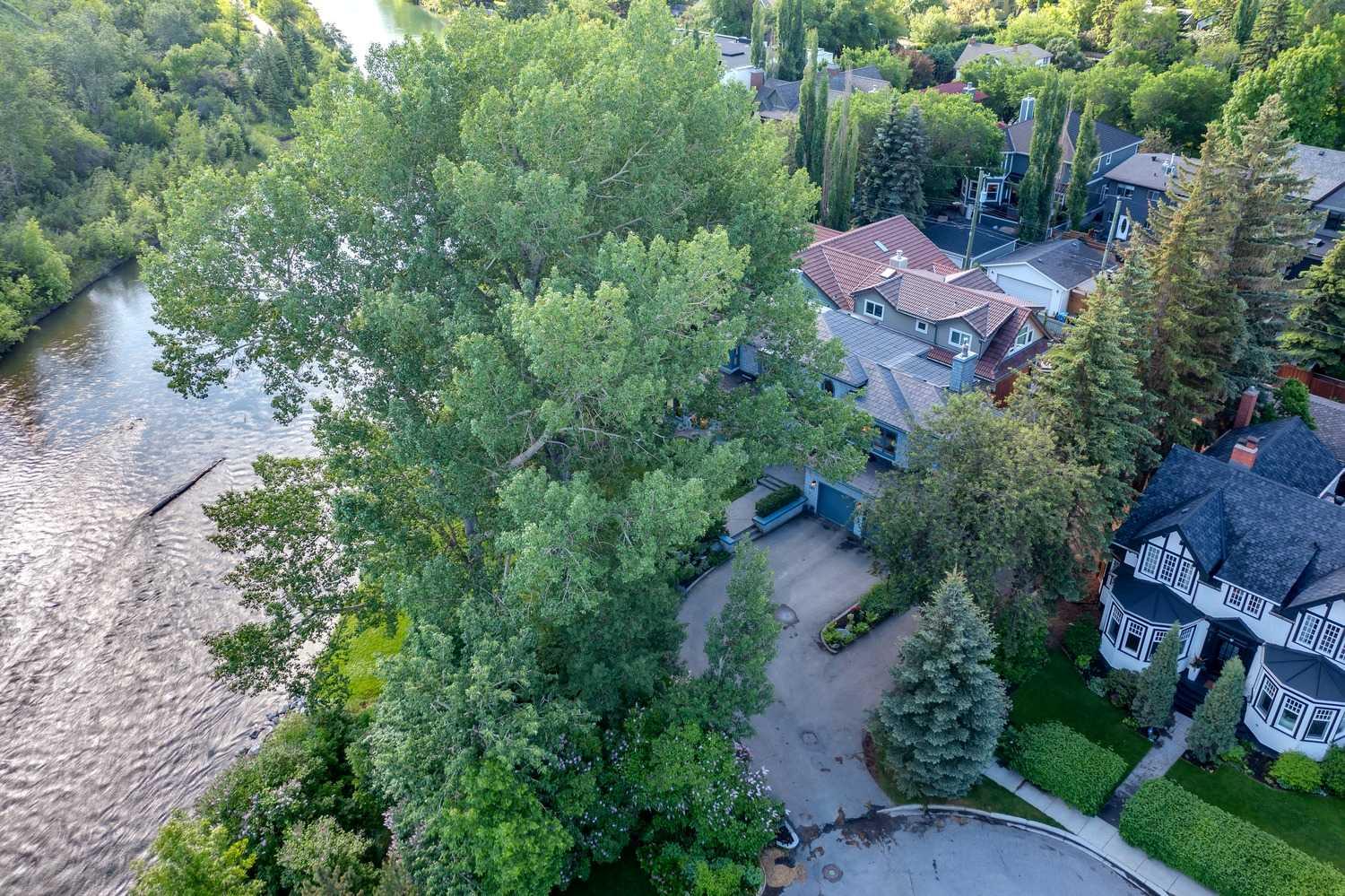 301 Elbow Park Lane SW