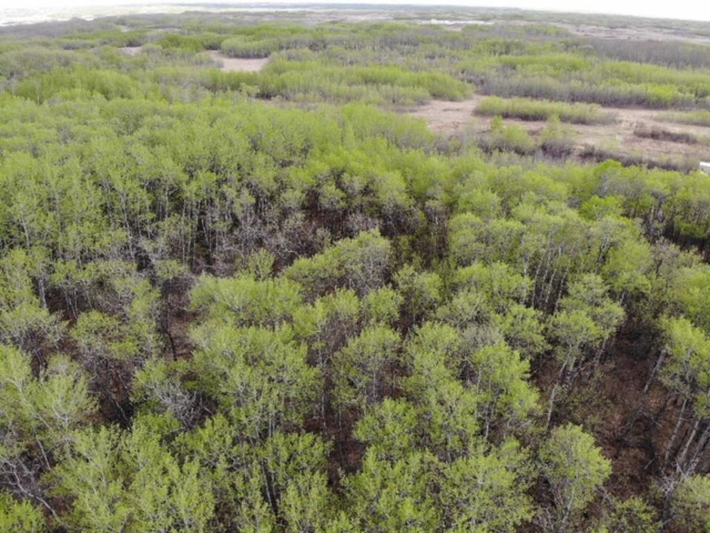 Photo of 25 450031 73 Range, Rural Wainwright No. 61, M.D. of, AB T9W 1L5 (MLS # A1150699)