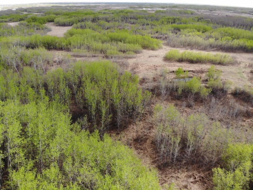 Photo of 25 450031 73 Range, Rural Wainwright No. 61, M.D. of, AB T9W 1L5 (MLS # A1150699)