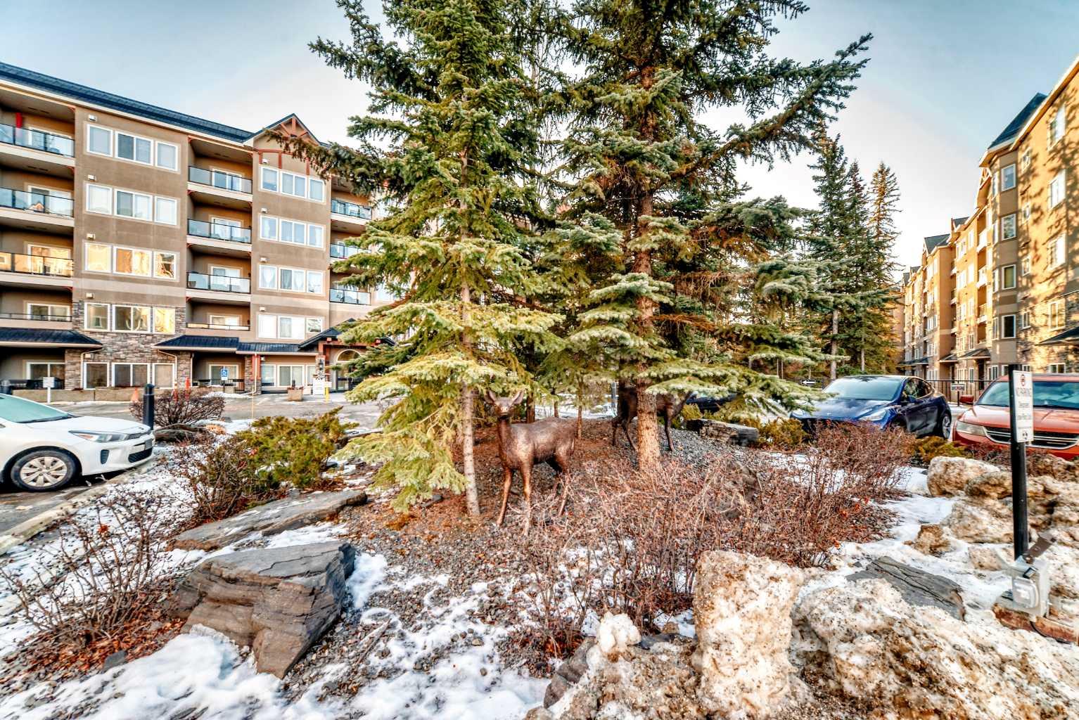 10 DISCOVERY RIDGE Close SW 213