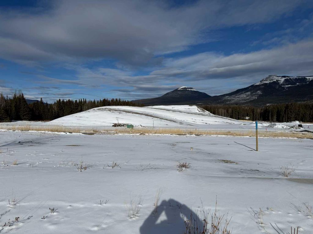 Photo of 408 LILY Avenue, Nordegg, AB T0M 2H0 (MLS # A2289702)