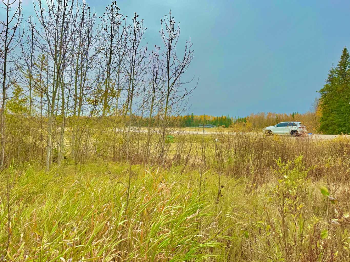 416 Valley View Close