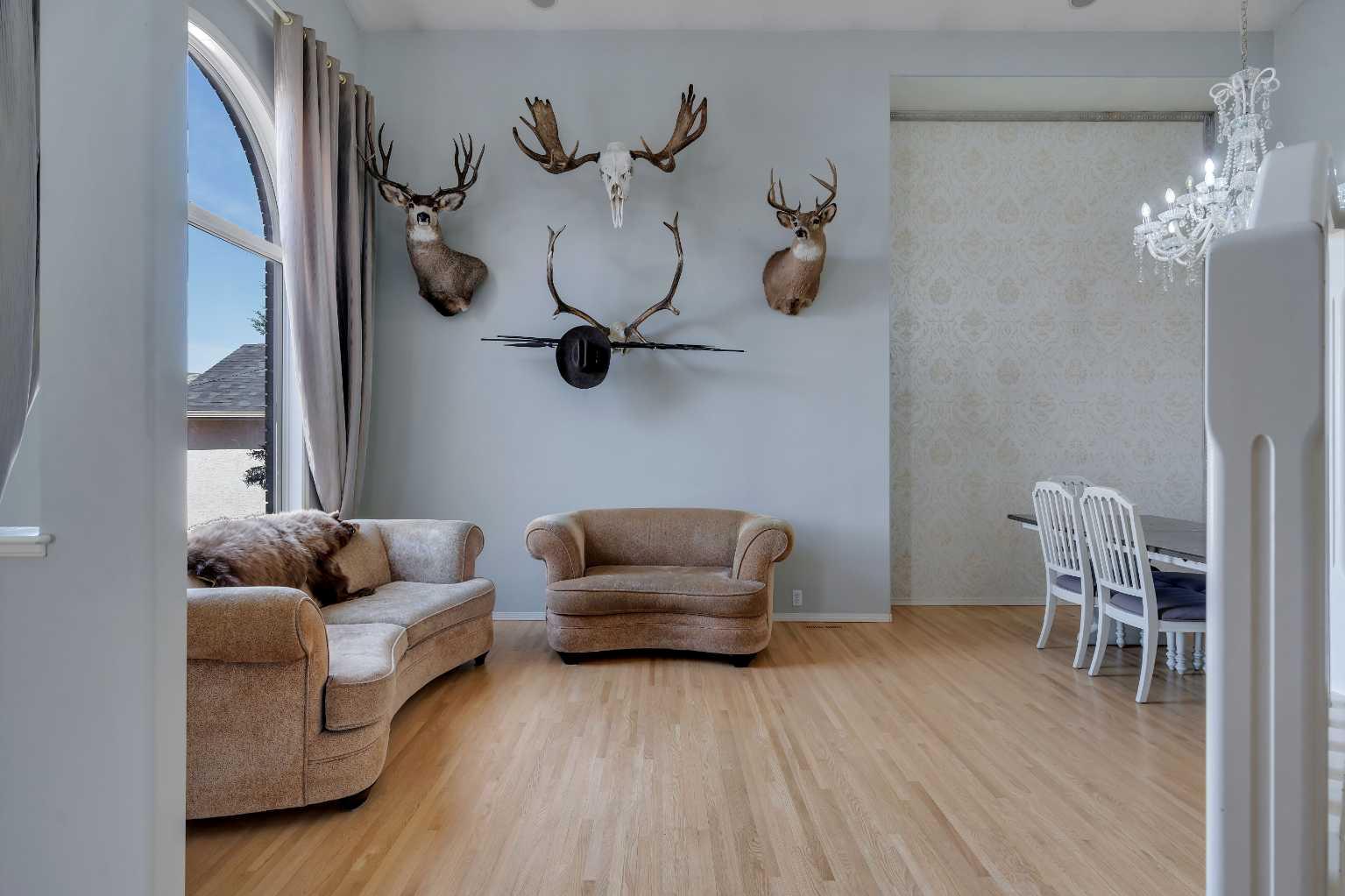 37 Mt Yamnuska Place SE